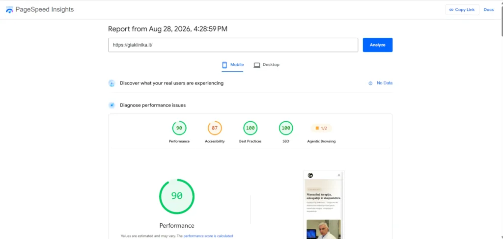 GIA Klinikos Google PageSpeed Insights rezultatai