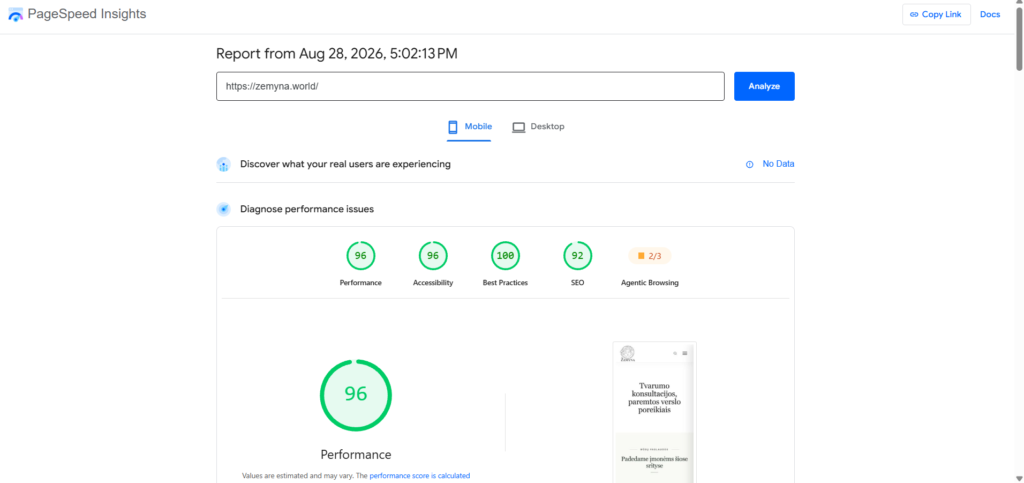 Žemyna svetainės PageSpeed Insights rezultatai