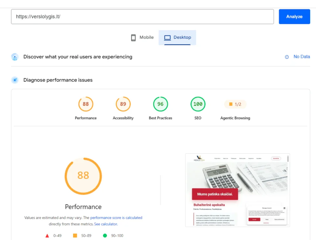 Verslo Lygis PageSpeed Insights rezultatai